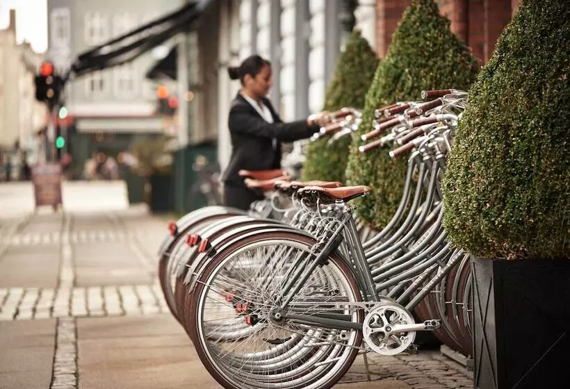 Fotos del hotel Ascot:  17