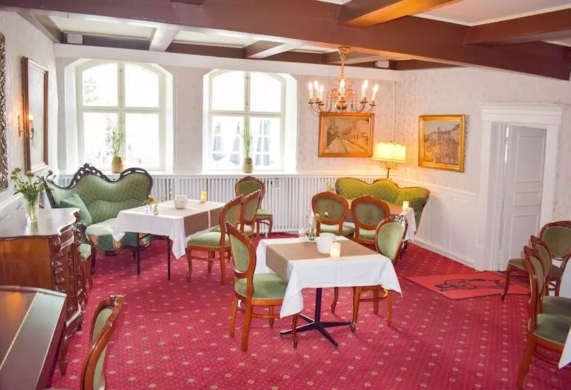 Fotos del hotel Dagmar:  18