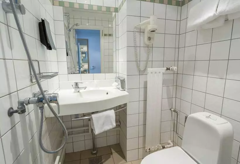 Fotos del hotel Profilhotels Mercur:  21