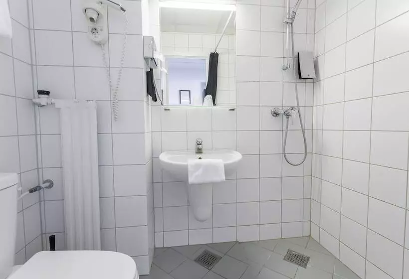 Fotos del hotel Profilhotels Mercur:  19