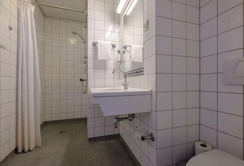 Fotos del hotel Zleep Hotel Prindsen Roskilde:  15