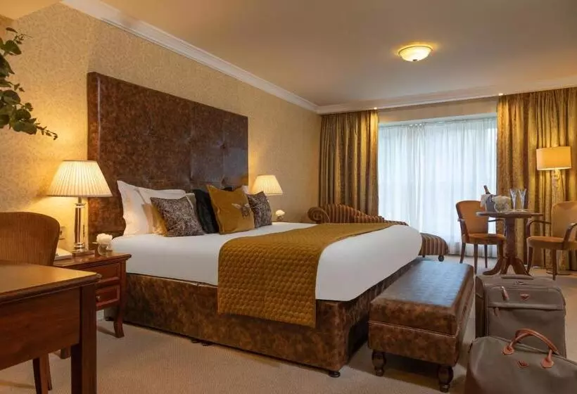 Fotos del hotel The Ardilaun:  19