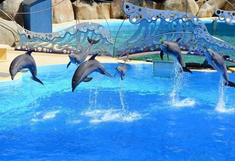 Fotos del hotel Golden Tulip Cannes  De Paris:  8