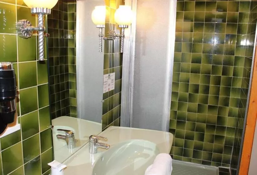 Fotos del hotel Du Gave:  7