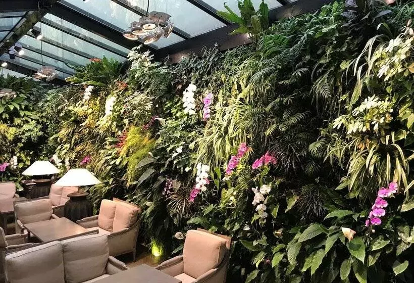 Fotos del hotel Pas De Calais:  11