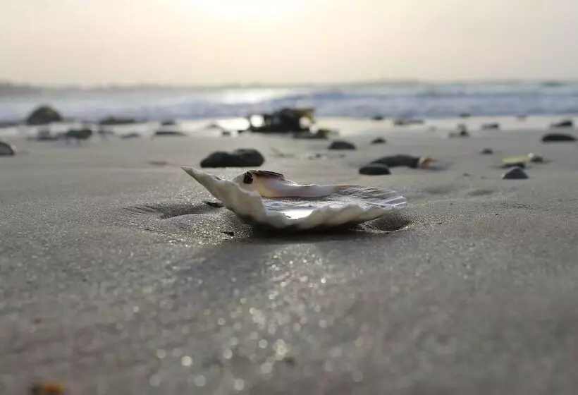 Fotos del hotel Hôtel La Villefromoy:  18