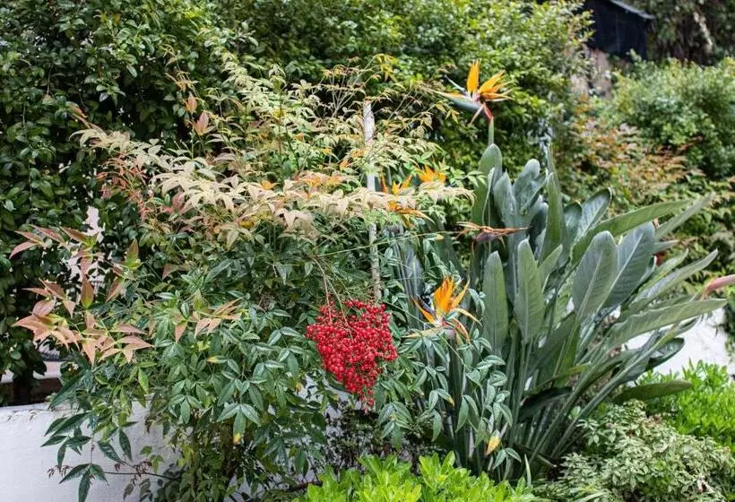 Fotos del hotel Molière:  11