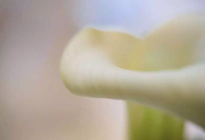 Fotos del hotel Como The Halkin:  25