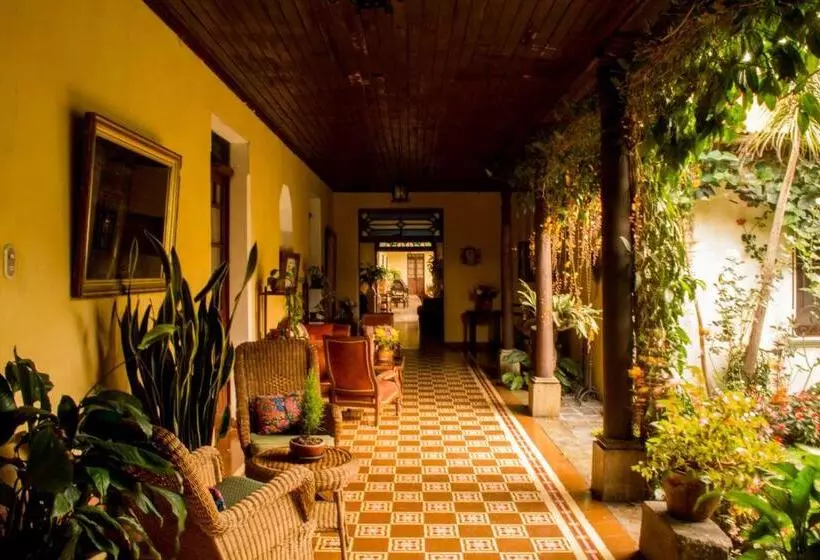 Fotos del hotel Aurora:  3