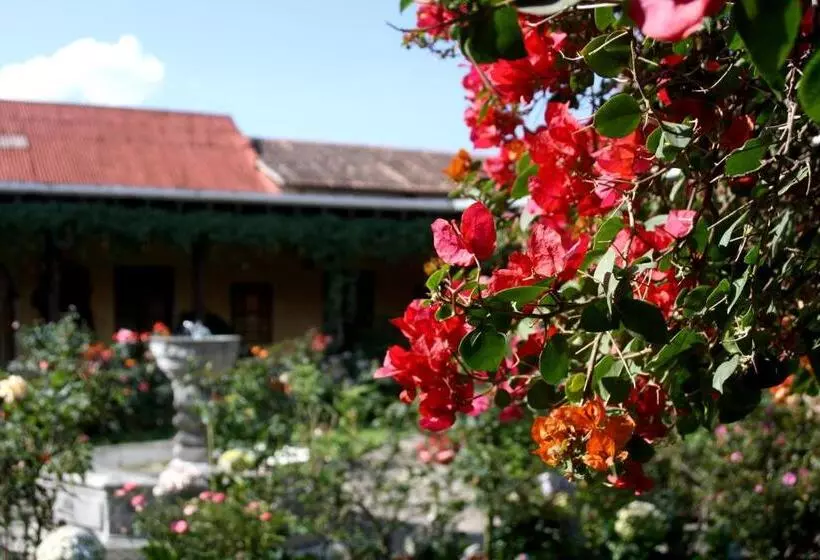 Fotos del hotel Aurora:  12