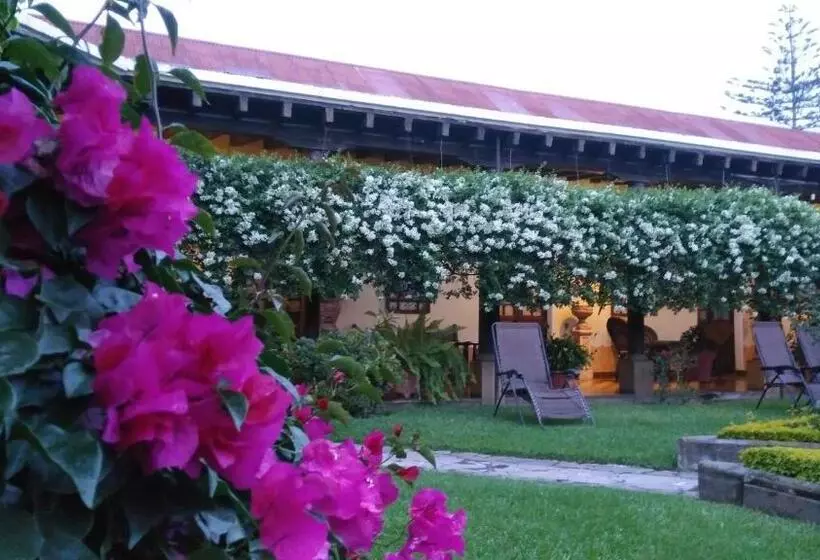 Fotos del hotel Aurora:  10