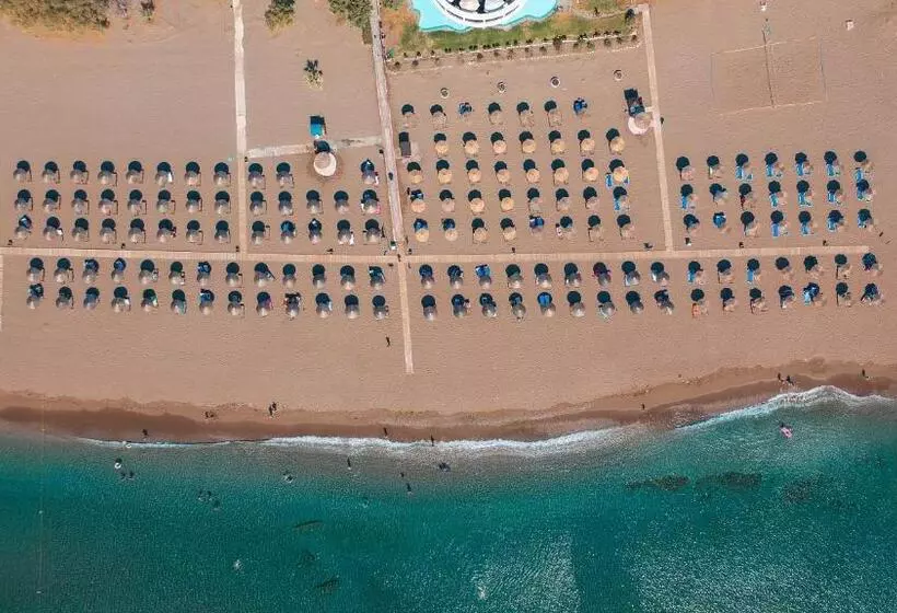 Fotos del hotel Calypso Beach:  16