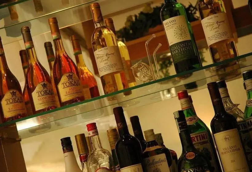 Fotos del hotel Orion Várkert:  4