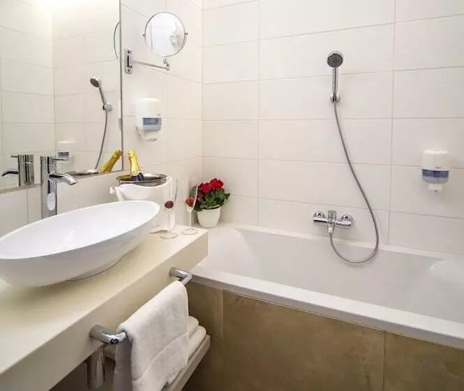 Fotos del hotel Sopron:  18