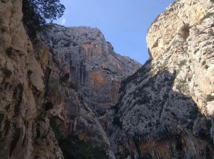 Fotos del hotel Albergo Miramare:  19