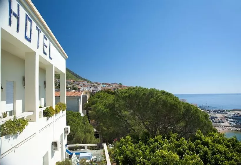 Fotos del hotel Albergo Miramare:  23