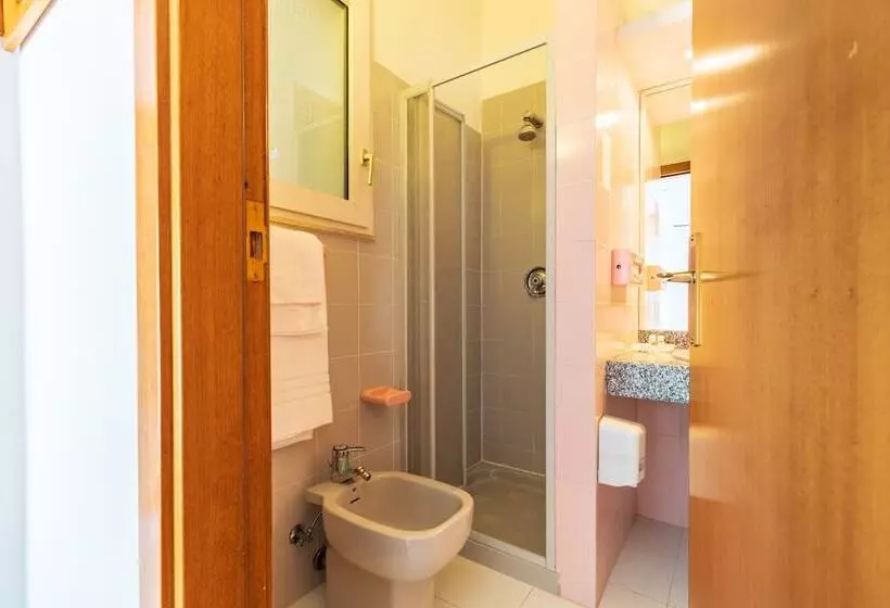 Fotos del hotel Albergo Miramare:  18