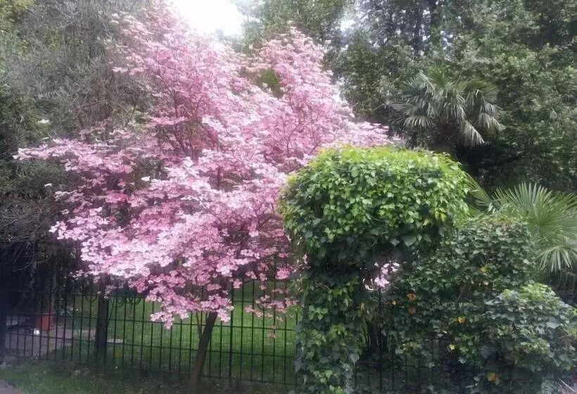 Fotos del hotel Juliane:  19