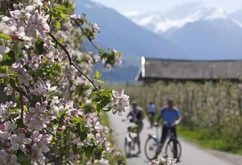 Fotos del hotel Juliane:  10