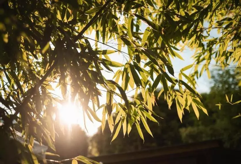 Fotos del hotel Pollinger:  14