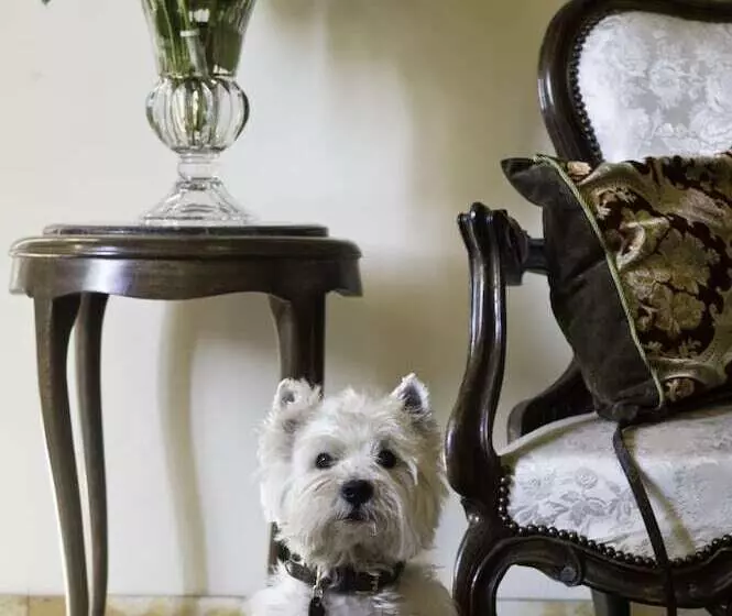 Fotos del hotel Principe:  16