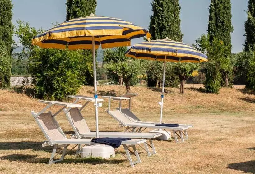 Fotos del hotel Vega Perugia:  5