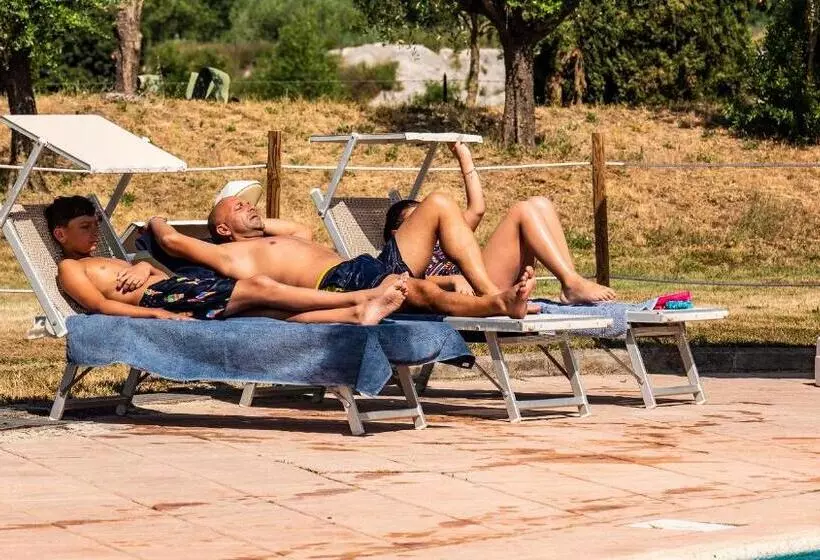 Fotos del hotel Vega Perugia:  25