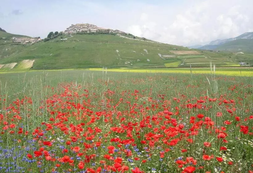 Fotos del hotel Vega Perugia:  13