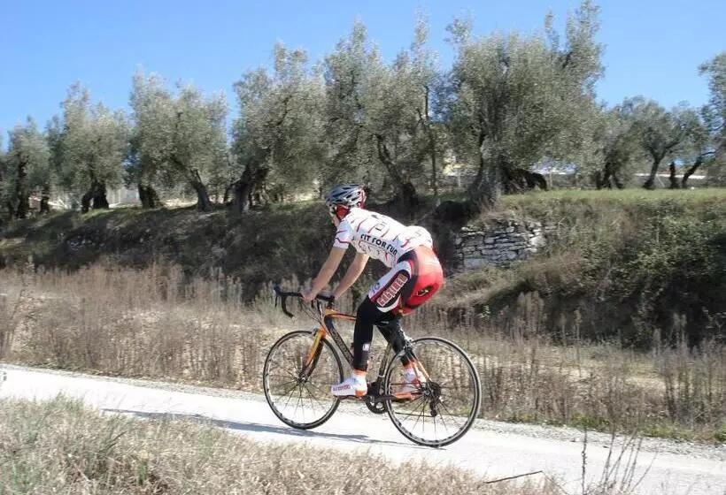 Fotos del hotel Vega Perugia:  6