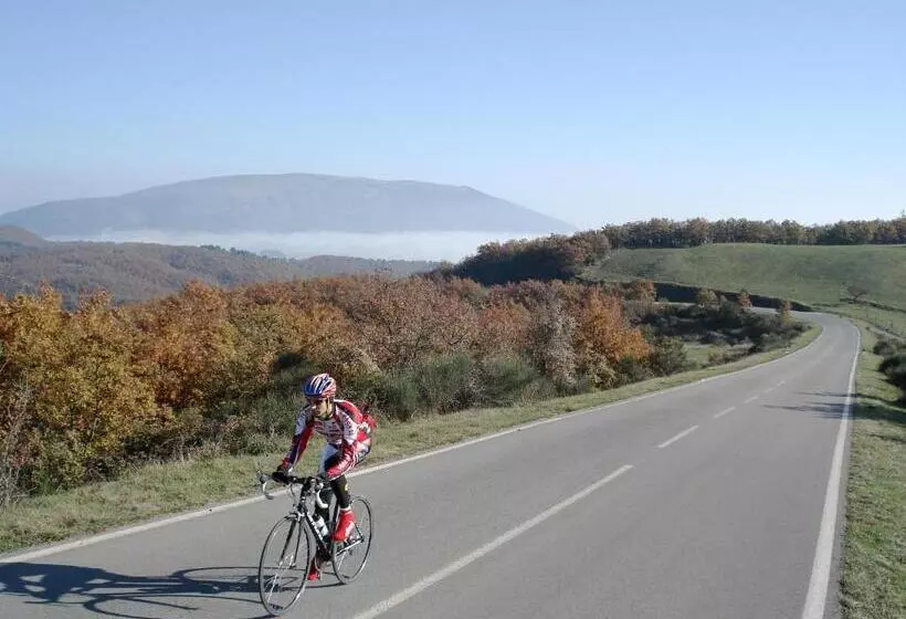 Fotos del hotel Vega Perugia:  20