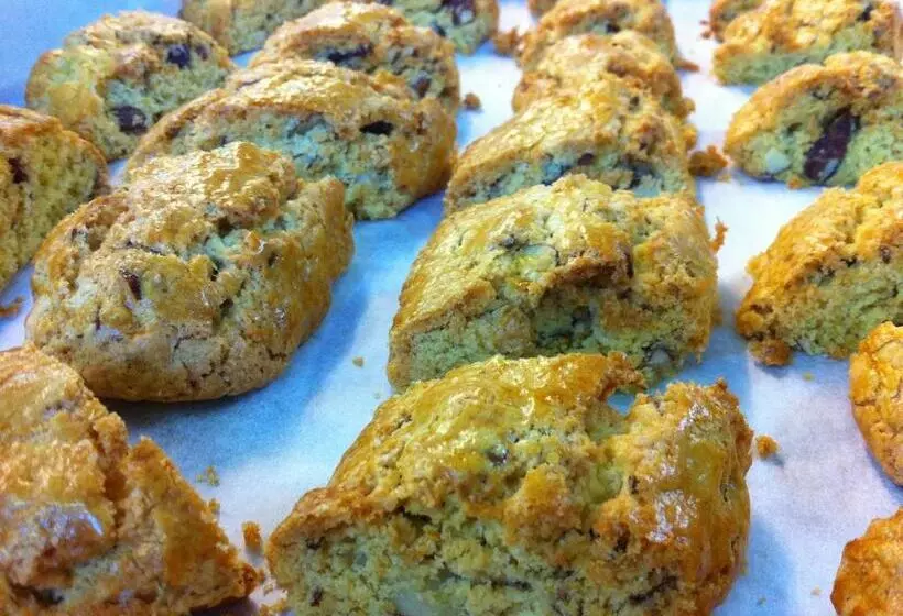 Fotos del hotel Vega Perugia:  16