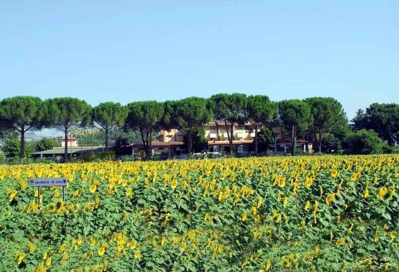 Fotos del hotel Vega Perugia:  7