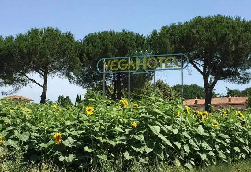 Fotos del hotel Vega Perugia:  11