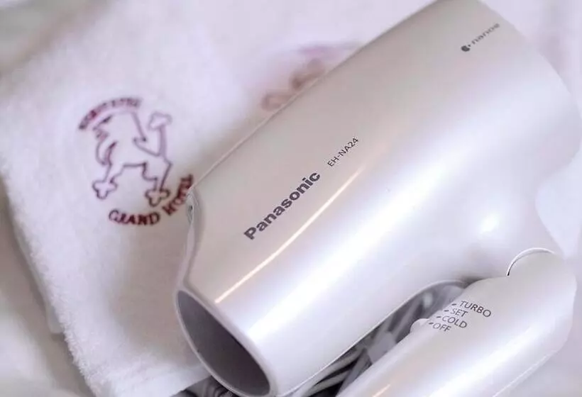 Fotos del hotel Nishitetsu Grand:  19