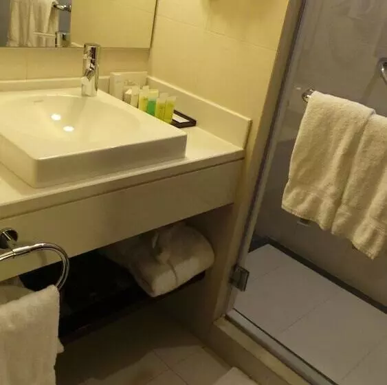 Fotos del hotel Amman Airport:  7