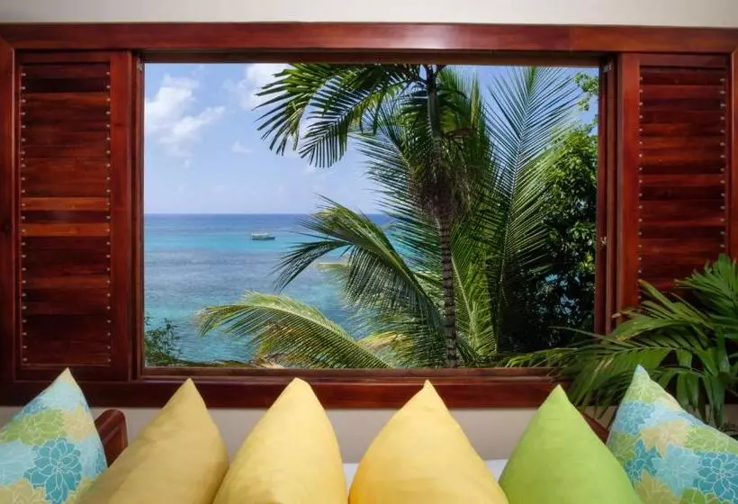 Fotos del hotel Hibiscus Lodge:  15