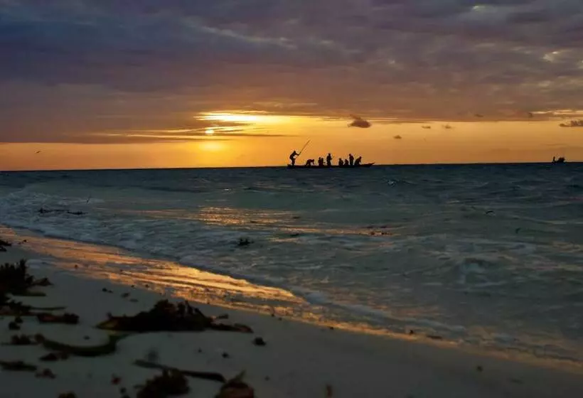 Fotos del hotel Reef:  12