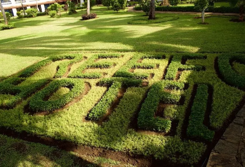 Fotos del hotel Reef:  4