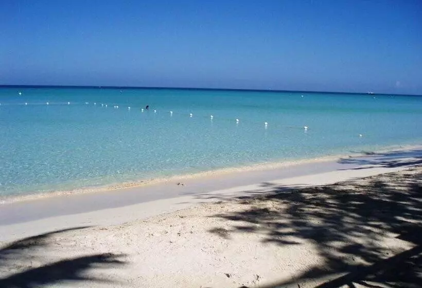 Fotos del hotel Rondel Village:  7