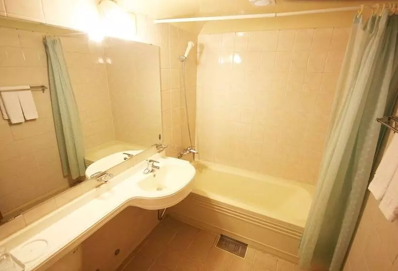 Fotos del hotel Seoul Rex:  13