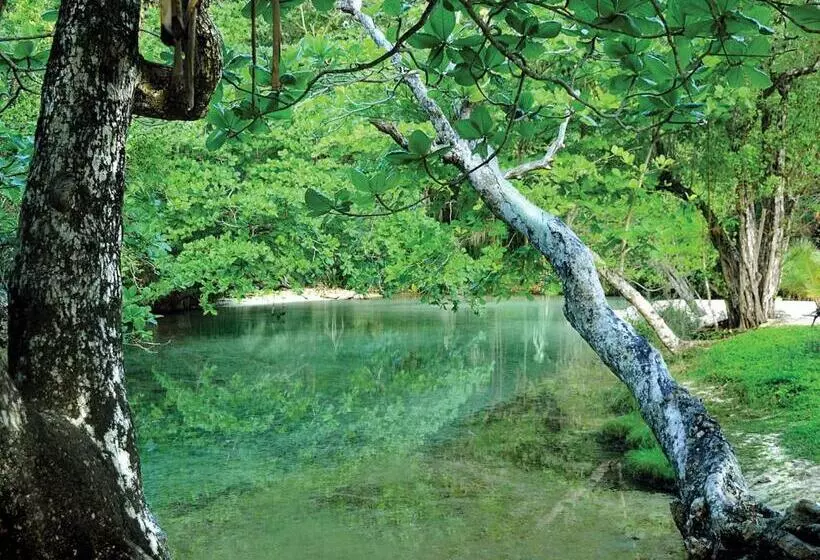 Fotos del hotel Trident:  17