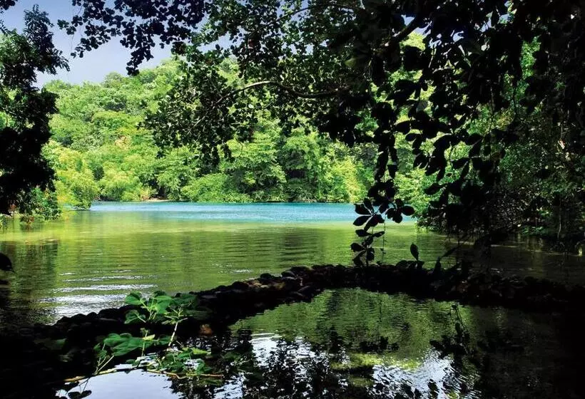 Fotos del hotel Trident:  14