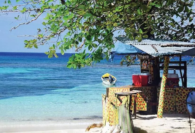 Fotos del hotel Trident:  22