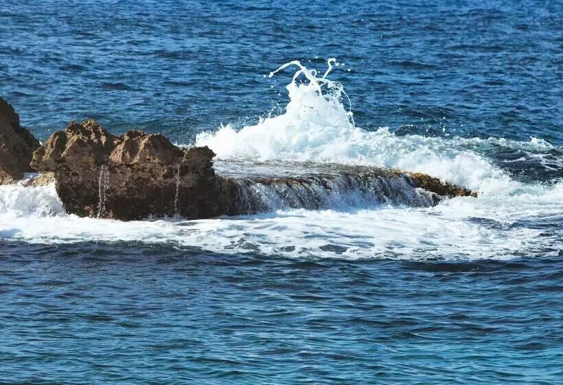 Fotos del hotel Trident:  13