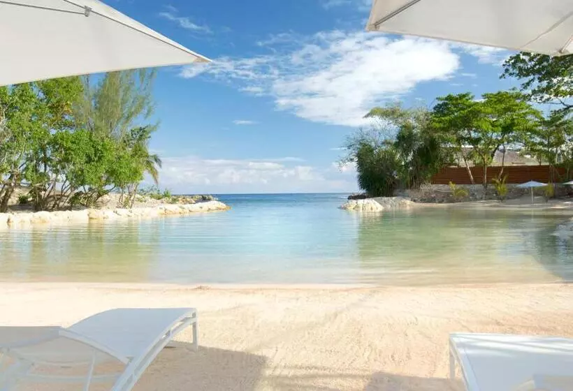 Fotos del hotel Trident:  25