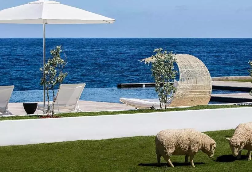 Fotos del hotel Trident:  6