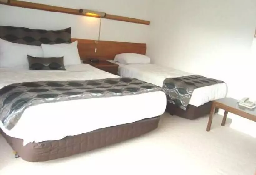 Fotos del hotel Airport Travel Air Motor Inn:  7