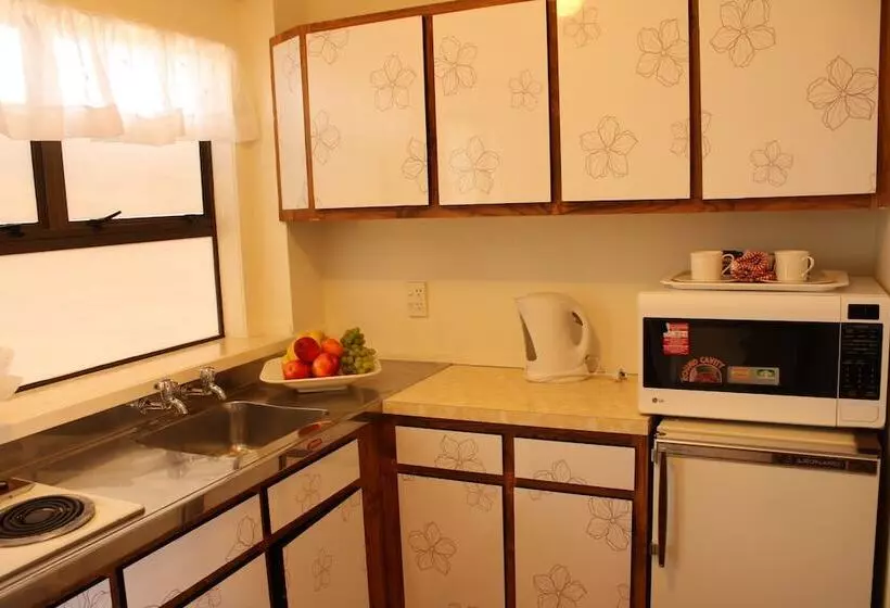 Fotos del hotel Airport Travel Air Motor Inn:  4