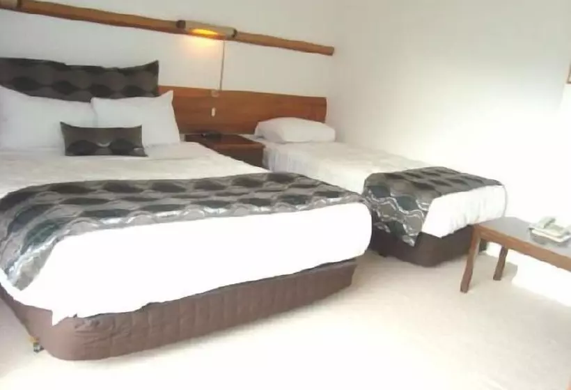 Fotos del hotel Airport Travel Air Motor Inn:  14