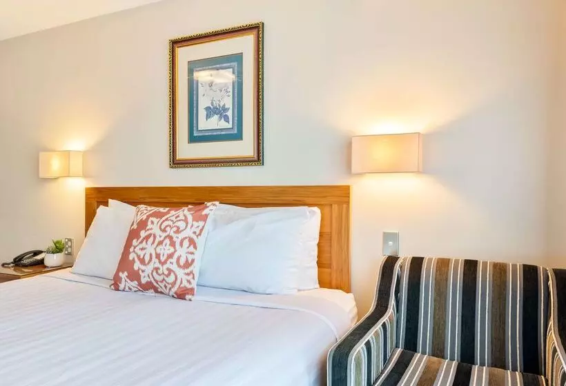 Fotos del hotel Best Western Newmarket Inn & Suites:  8